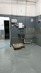 Mandai Link (D25), Factory #538581501